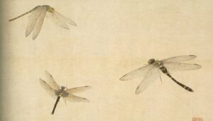 ‘The Monkeys and the Dragonflies’ by Terry L. Norton