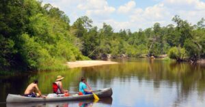 A Haiku on ‘Blackwater River State Park’ and Other Poetry by K.M. Hayes
