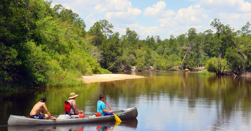 A Haiku on ‘Blackwater River State Park’ and Other Poetry by K.M. Hayes