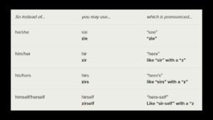 poem/bryant/pronouns/transgenderism