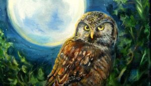 ‘Owl Ensconced on Oaken Branch’ by Corey Elizabeth Jackson