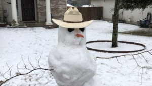 'Texas Freeze (surely an oxymoron)' by Susan Jarvis Bryant 2 ‘Texas Freeze (surely an oxymoron)’ by Susan Jarvis Bryant