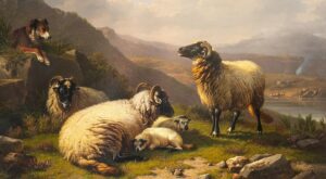 ‘Unfit for Purpose’ by David Watt