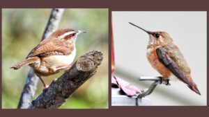 ‘Ode to Hidden Splendor’ and Other Poetry by Susan Jarvis Bryant