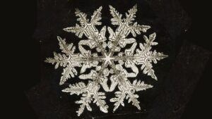 poem/corey/winter/snowflake