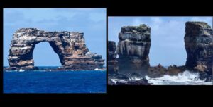 A Poem on the Collapse of Darwin’s Arch, by Susan Jarvis Bryant