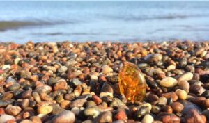 Two Poems on Amber, by Margaret Coats