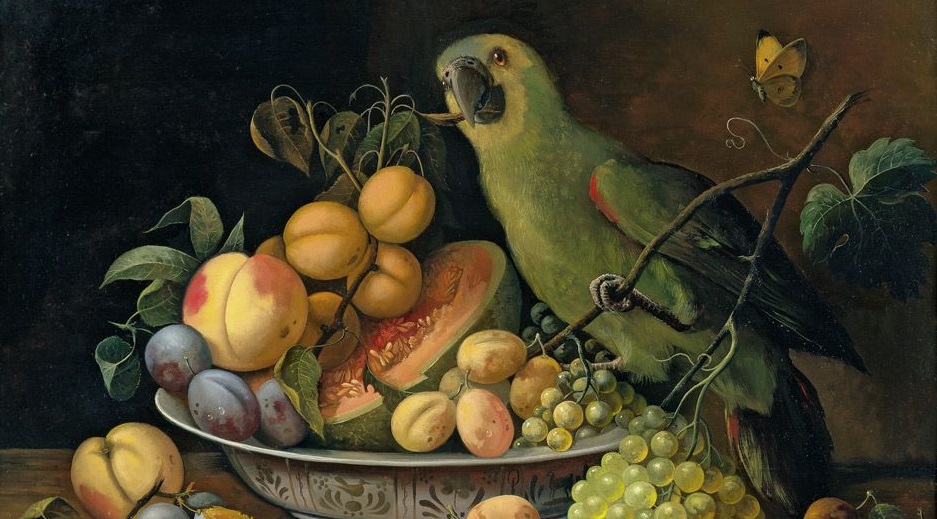 ‘Bird of Prey’ by Raymond Gallucci