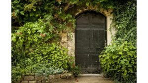 ‘The Secret Garden’ and Other Poetry by Brian Yapko