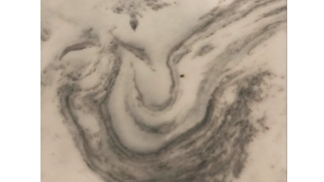 ‘Pareidolia’ by Beverly Stock