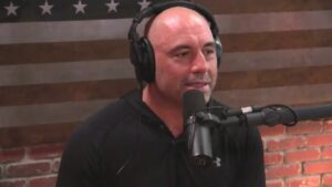 On Joe Rogan’s Interview of Demi Lovato, by Jeff Kemper