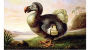 ‘The Dodo of Mauritius’ and Other Poetry by Peter Hartley