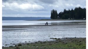 ‘Beneath the Tide’ and Other Pacific Northwest Shoreline Poems by James A. Tweedie