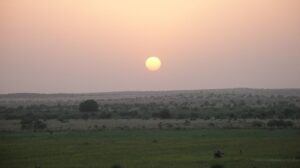 'A North Indian Summer' by Rohini Sunderam 2 ‘A North Indian Summer’ by Rohini Sunderam