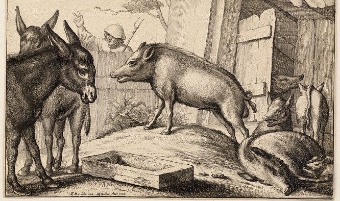 ‘Because He Could Not Jump’ adapted from Lewis Carroll’s ‘The Pig’ by Beverly Stock