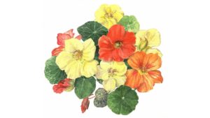 Two Poems on the Departed, by Sally Cook 2 Two Poems on the Departed, by Sally Cook