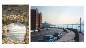 ‘A Clamshell in Concrete’ (and a Short Note) by Joseph S. Salemi