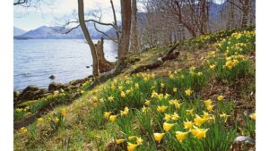 ‘Ode to Spring’ by Susan Jarvis Bryant