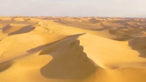 ‘Ozymandias’ by Percy Bysshe Shelley: A Reading by S.A. Todd