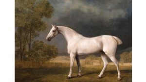 ‘Lament of the Little White Horse’ by Paul Fort, Translated by Joshua C. Frank