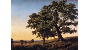 'Solid Oak': A Poem by C.B. Anderson 2 ‘Lay of the Oak’ by William Heard