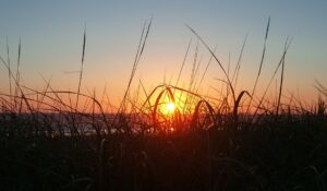 A Poem on the Season of Depression: ‘Yet’ by James A. Tweedie