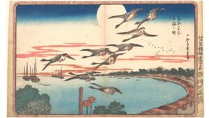 'What Geese May Teach' and Other Poetry by Sally Cook 2 geese flying