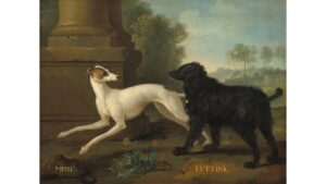 'Ode to the Dogs' by Shari Jo Lekane 3 poem/anderson/dogs
