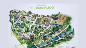 'The Number 274: Timothy Pugh': A Bus Poem by Paul Martin Freeman 3 poem/freeman/zoo