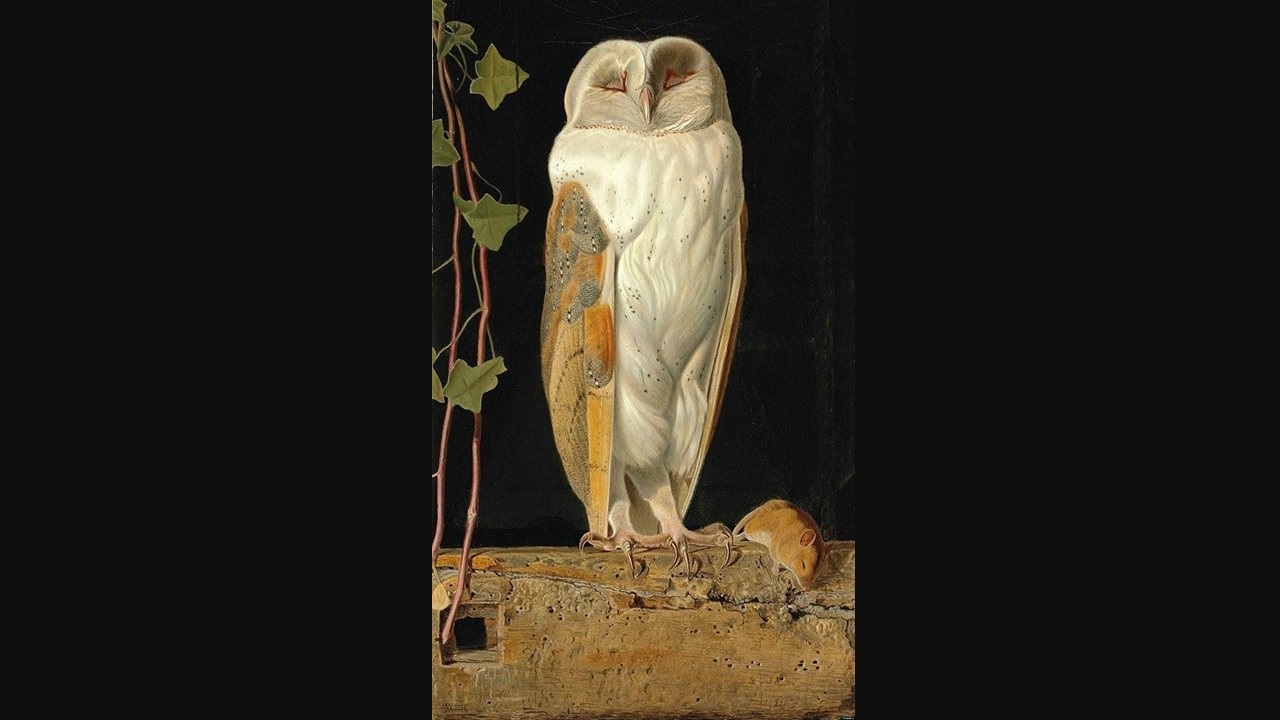 poem/macdonald/love poems