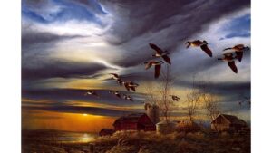 poem/sunderam/beauty
