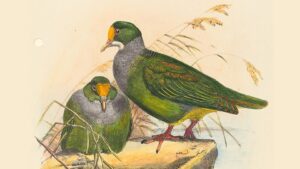 poem/tweedie/love poems