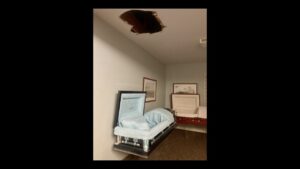 'The Magic Casket': A Poem by Susan Jarvis Bryant 2 poem/bryant/beauty