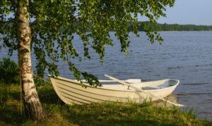 ‘Fungible Assets’ and Other Poetry by C.B. Anderson