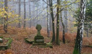 ‘An Abandoned Cemetery’: A Poem by Carey Jobe