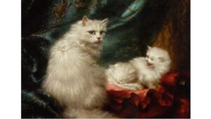 'On Cats and Love' and Other Poetry by Benjamin Cannicott Shavitz 2 ‘On Cats and Love’ and Other Poetry by Benjamin Cannicott Shavitz