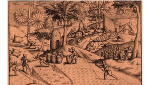 'Paradise Island': A Poem by Paul A. Freeman 3 ‘Paradise Island’: A Poem by Paul A. Freeman