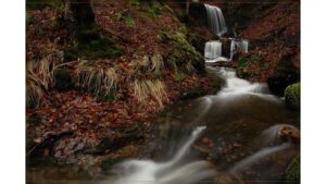 'To Find a Waterfall': A Poem by Monika Cooper 2 ‘To Find a Waterfall’: A Poem by Monika Cooper