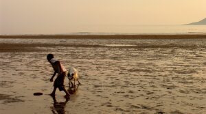 Poems on Dogs and Humans, by Joshua C. Frank