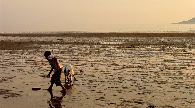 Poems on Dogs and Humans, by Joshua C. Frank