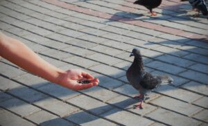 ‘Outside Chance’: A Poem by Anna J. Arredondo
