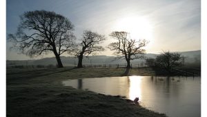 When Less Is More: A Poetry Challenge 3 When Less Is More: A Poetry Challenge