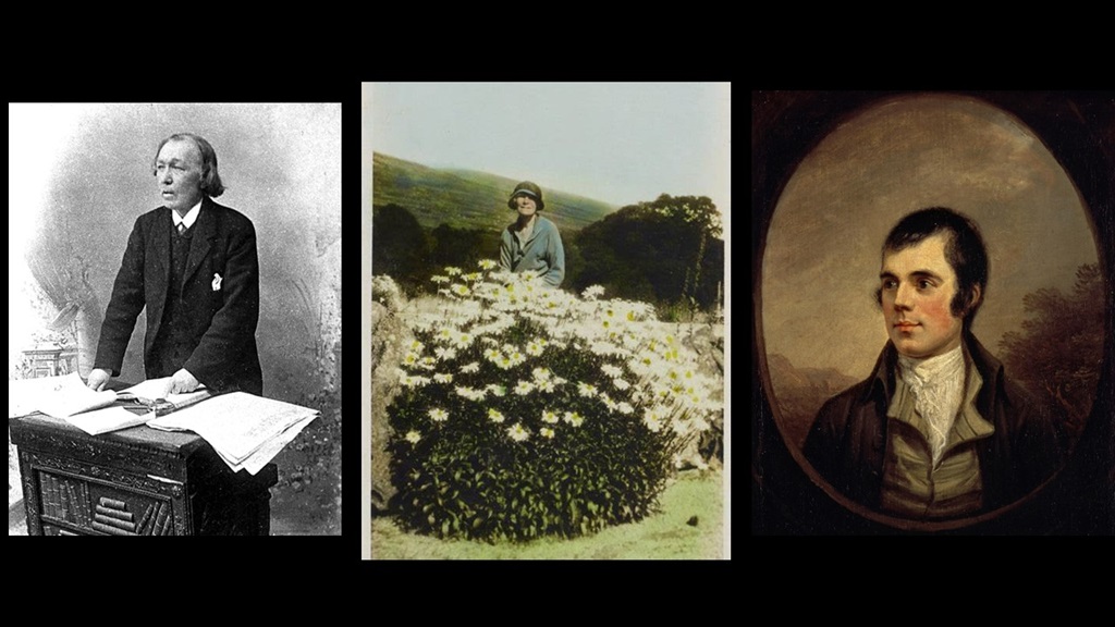 ‘Third-Degree Burns’ and Other Poems by C.B. Anderson