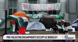 A Poem on Anti-Israel Encampments at U.S. Universities, by Cheryl Corey