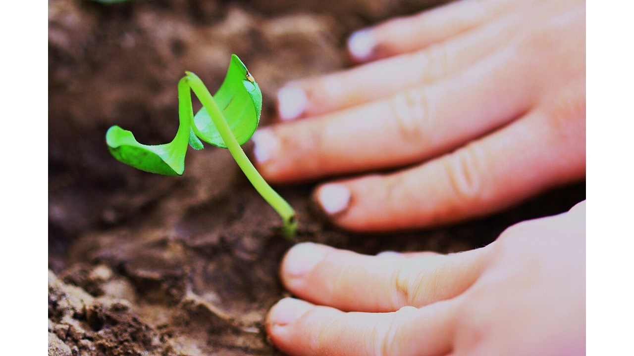 A Father’s Day Sonnet by Evan Mantyk