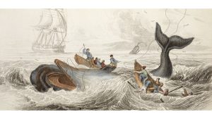 ‘Men Sail Out’: A Poem by Michael Charles Maibach