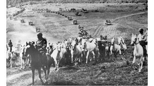 ‘Patton on the Lipizzaner Horses’ and Other Poetry of Vienna by Brian Yapko