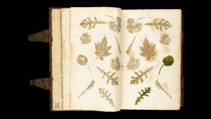 'Leave': A Poem by Martin Elster 3 ‘Leave’: A Poem by Martin Elster