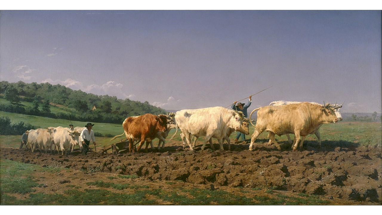 ‘Plowing’: A Poem by Margaret Coats