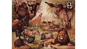 'The Web of Sustenance' and Other Poetry by C.B. Anderson 2 ‘The Web of Sustenance’ and Other Poetry by C.B. Anderson